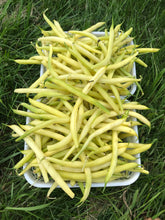 Load image into Gallery viewer, Beans
