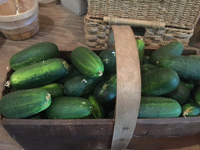 Cucumbers (Large)