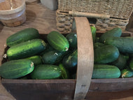 Cucumbers (Large)