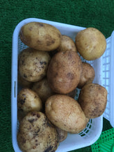 Load image into Gallery viewer, Potatoes- mini white
