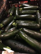 Zucchini