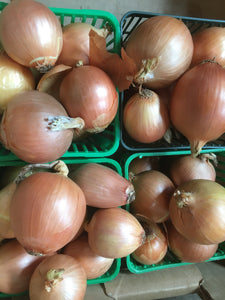 Cooking onions - quart