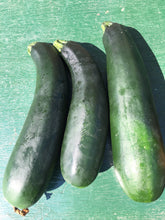 Load image into Gallery viewer, Zucchini
