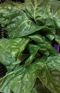 Swiss chard