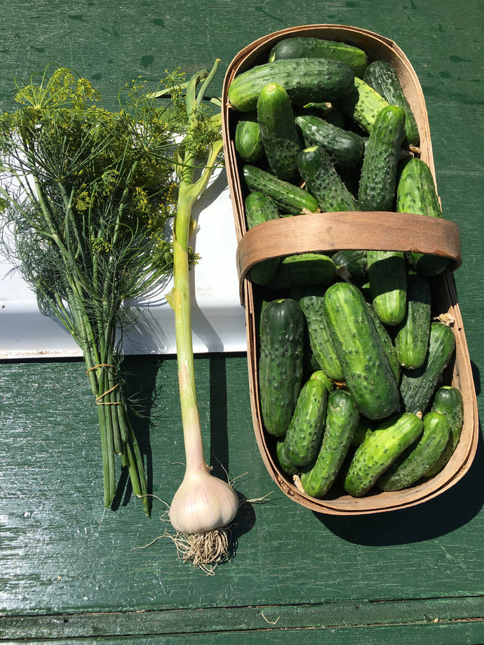 Dill Pickle Special