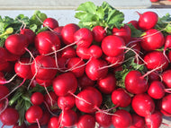 Radishes