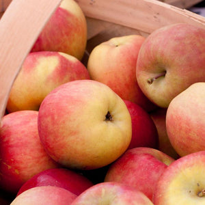 Apple- Fuji - 1/4 bushel smaller apples SPECIAL of the week!
