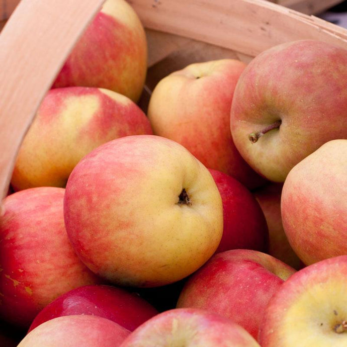 Apple- Fuji - 1/4 bushel smaller apples SPECIAL of the week!