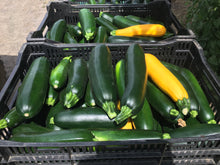 Load image into Gallery viewer, Zucchini
