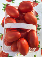 Load image into Gallery viewer, Tomatoes - Beefsteak and Roma Varieties
