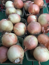 Load image into Gallery viewer, Cooking onions -lg
