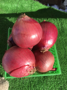 Red onions - quart