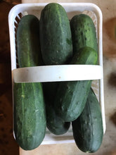 Load image into Gallery viewer, Cucumbers (Large)
