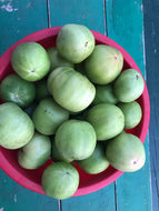 Tomatoes (field- green tomatoes )