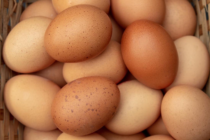 Eggs - Free range eggs - Dozen *FARM PICKUP ONLY*