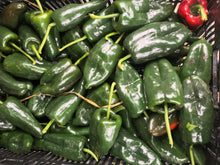 Load image into Gallery viewer, Peppers- poblano (hot)

