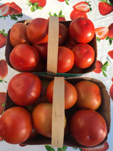 Load image into Gallery viewer, Tomatoes - Beefsteak and Roma Varieties

