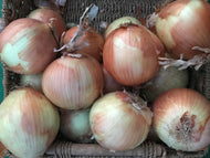Spanish onions