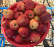 Apples - #2 imperfect - Huge savings!!!!