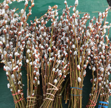 Load image into Gallery viewer, Pussy Willow Bunches - A Great Gift Idea!!
