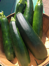 Load image into Gallery viewer, Zucchini
