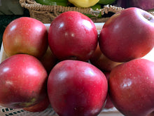 Load image into Gallery viewer, Apples - Enterprise  “hard, crisp fresh flavour”
