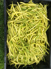 Load image into Gallery viewer, Beans
