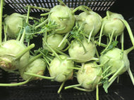 Kohlrabi